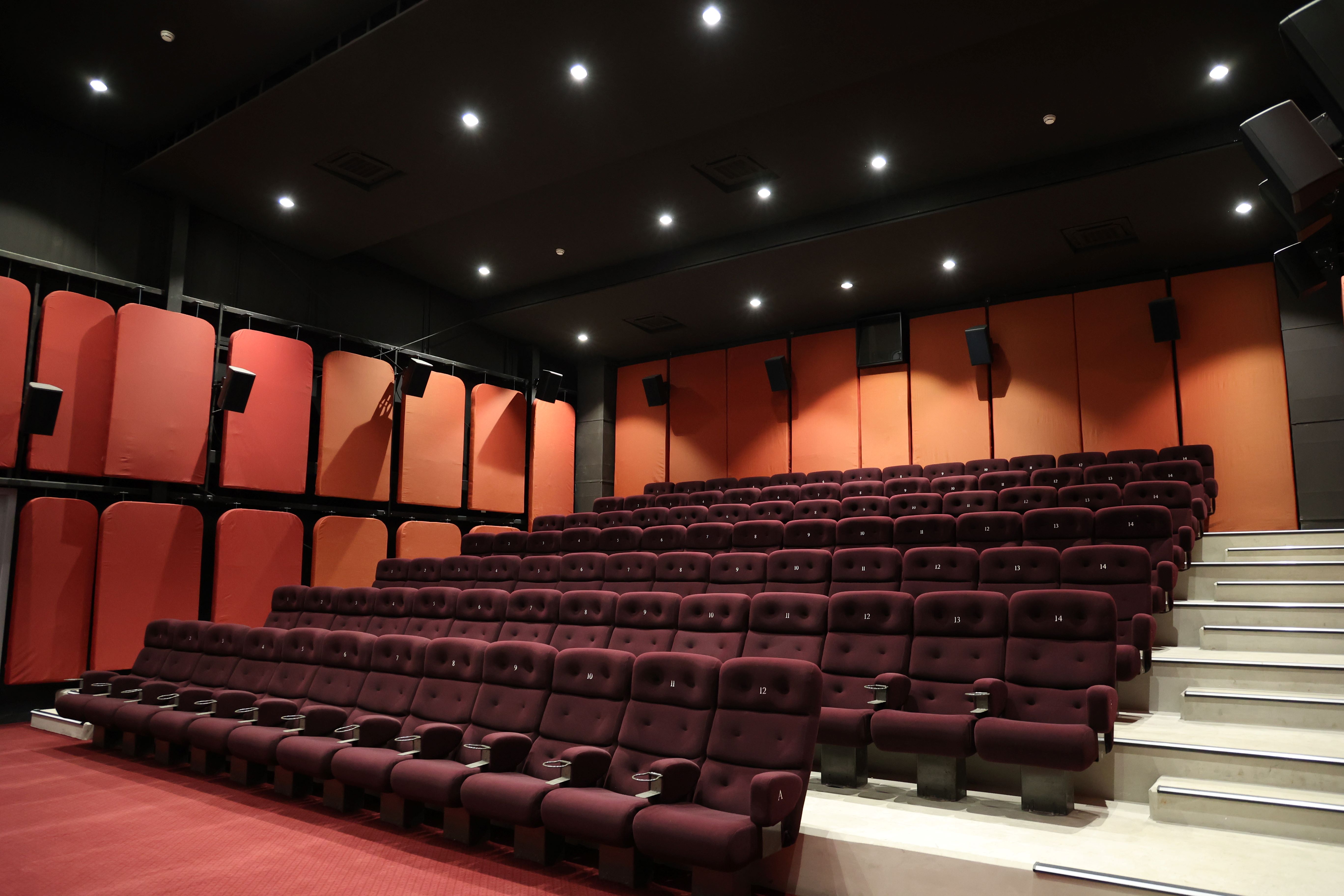 Metropolis Cinema 