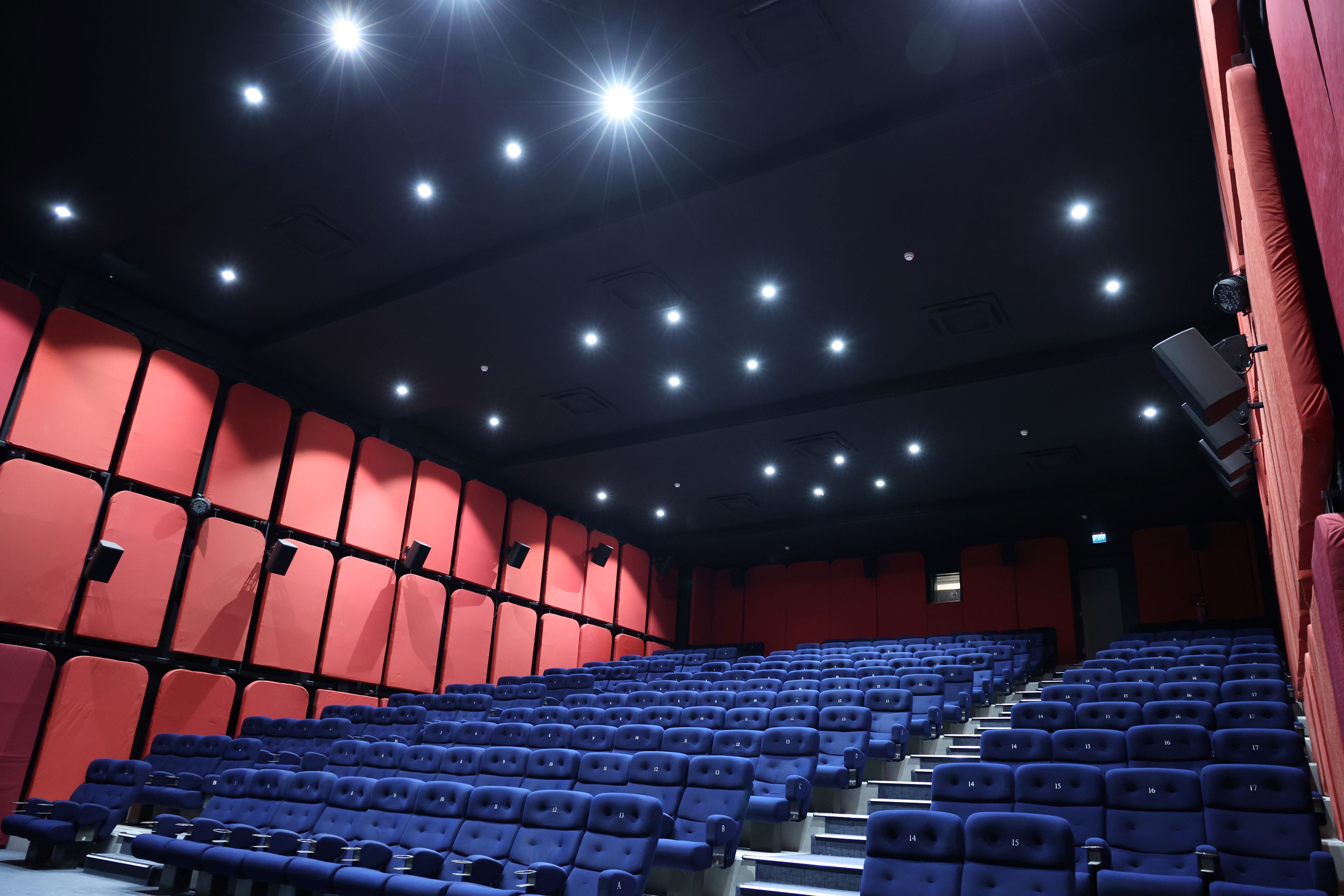 Metropolis Cinema 